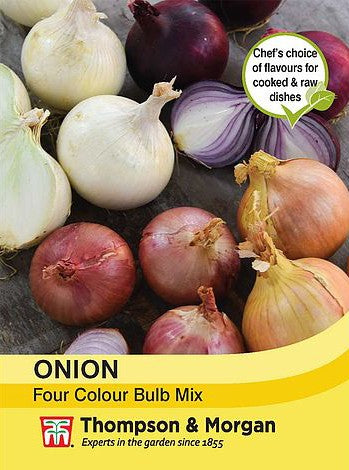Onion Seeds
