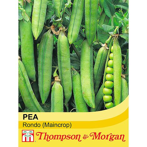 Pea Seeds