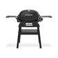 Q 2200N GAS BARBECUE WITH SIDE TABLES AND COMPACT STAND