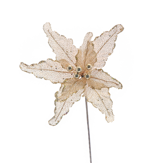 54cm ivory poinsettia with gold glitter stem