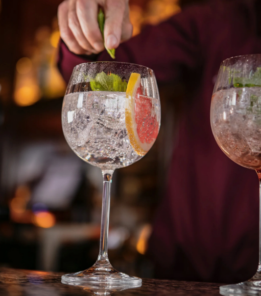 Erne Gin & Tonic Pair