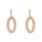 Gold Oval Drop Earrings