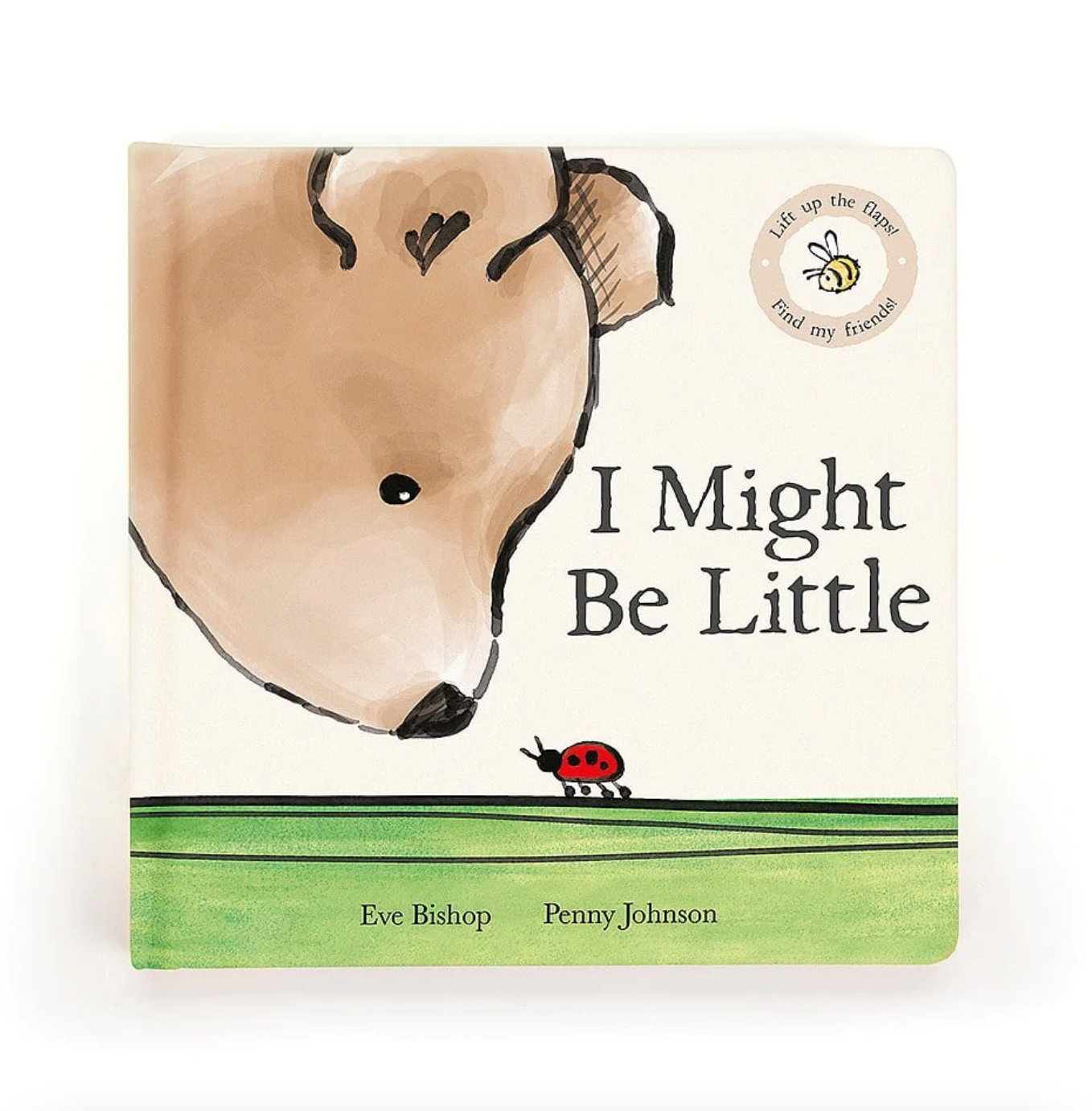 I Might Be Little Book