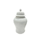 Kendrix Ginger Jar Large