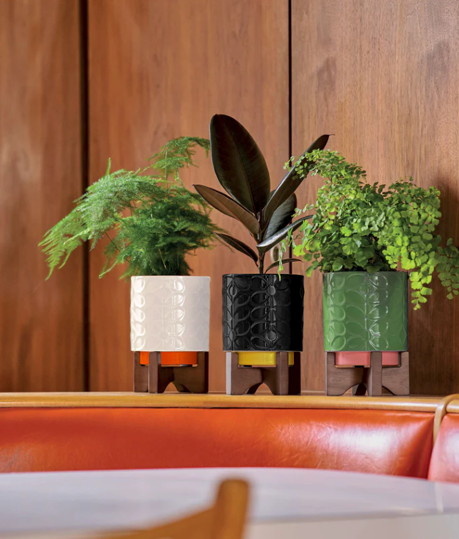 ORLA KIELY DEBOSSED PLANT POT ON WOODEN STAND (CREAM)