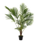 Palmtree in pot plastic L50cm W50cm H125cm