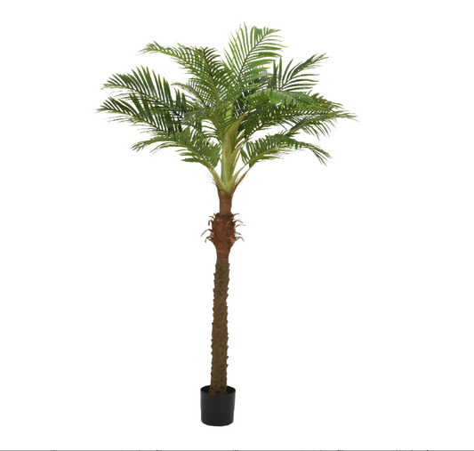 Palmtree in pot polyester L110cm W90cm H230cm