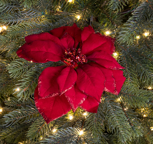 Red Poinsettia On Clip w glitter edges H7cm