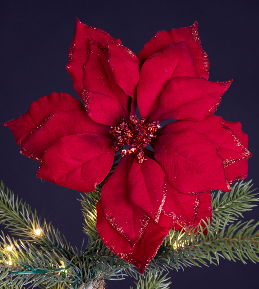 Red Poinsettia On Clip w glitter edges H7cm