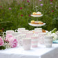 Spots & Stripes Party Pack S/6 Mugs
