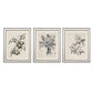 Spring Prints Set/3