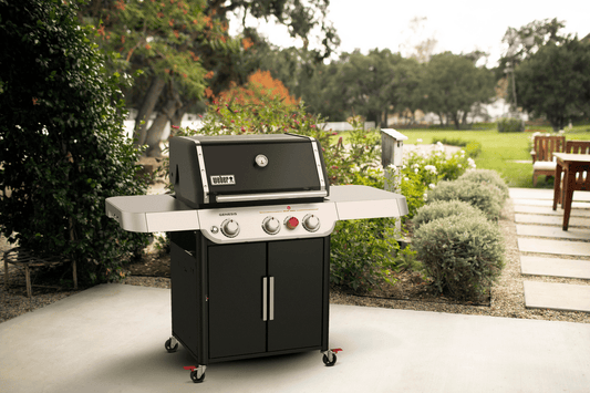 Weber GENESIS E-325s BBQ