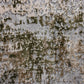 ARIELLA MOSS RUG 160X230