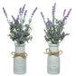 Assorted Lavender in pot polyester