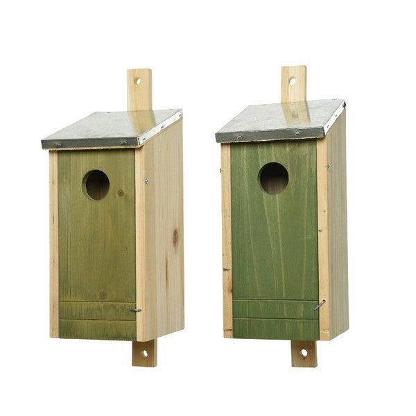 Birdhouse firwood great tit