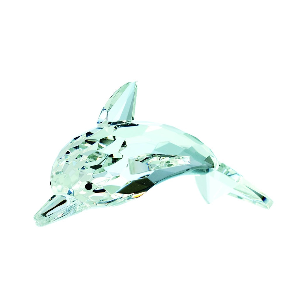 Dolphin Small
