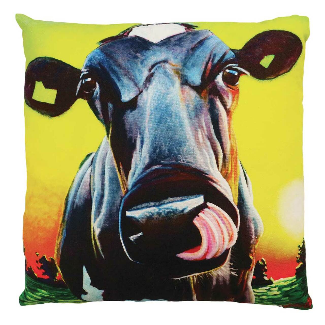 Eoin O'Connor 45cm Cushion - Little Miss Sunshine