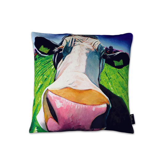 Eoin O'Connor 45cm Cushion - The Moover and Shaker