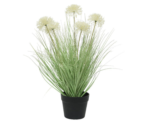 Grass in plastic Pot H62cm