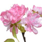 Soft Pink Blossom peach on stem polyester H76cm