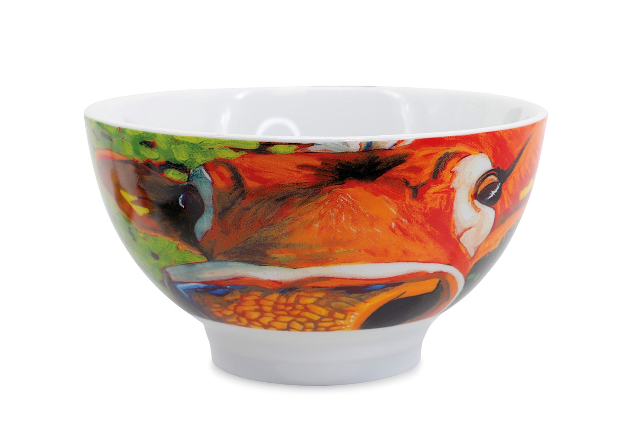 Eoin O'Connor S/4 Bowls