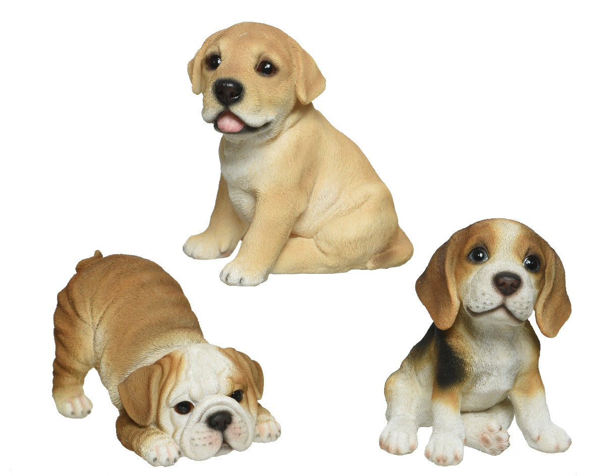 Puppy polyresin